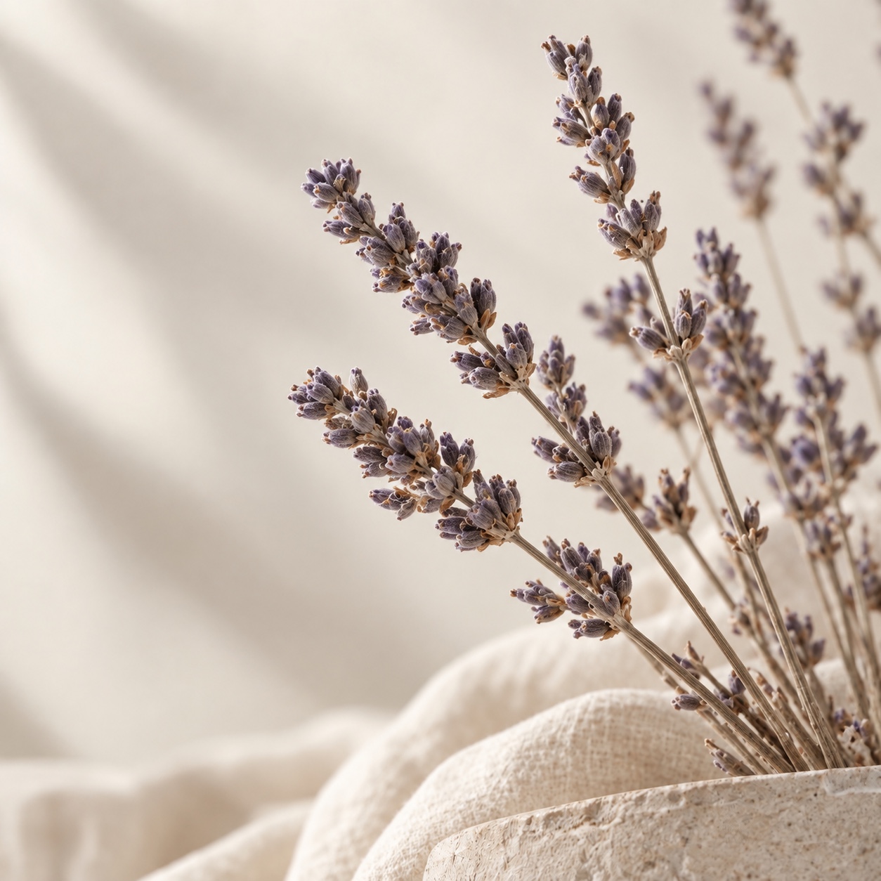 Natural lavender against cotton textiles
